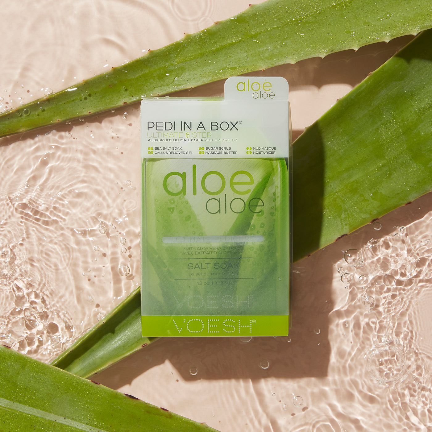 Aloe Aloe