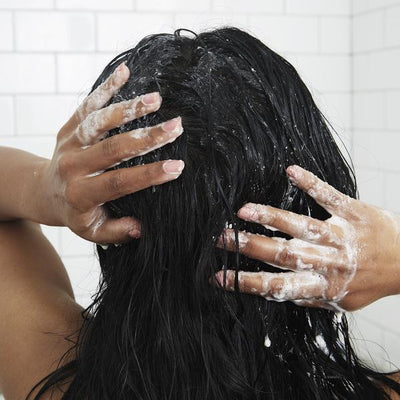 Scalp & Body Sugar Scrub - Rainforest Mist (7.4oz)